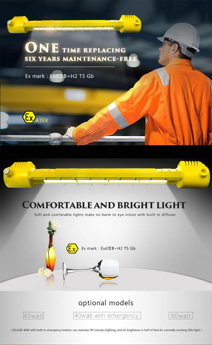 explosionssicheres LED Flut-Licht 80W ATEX 120lumen/Watt für Hochseebohrungs-Anlage 1